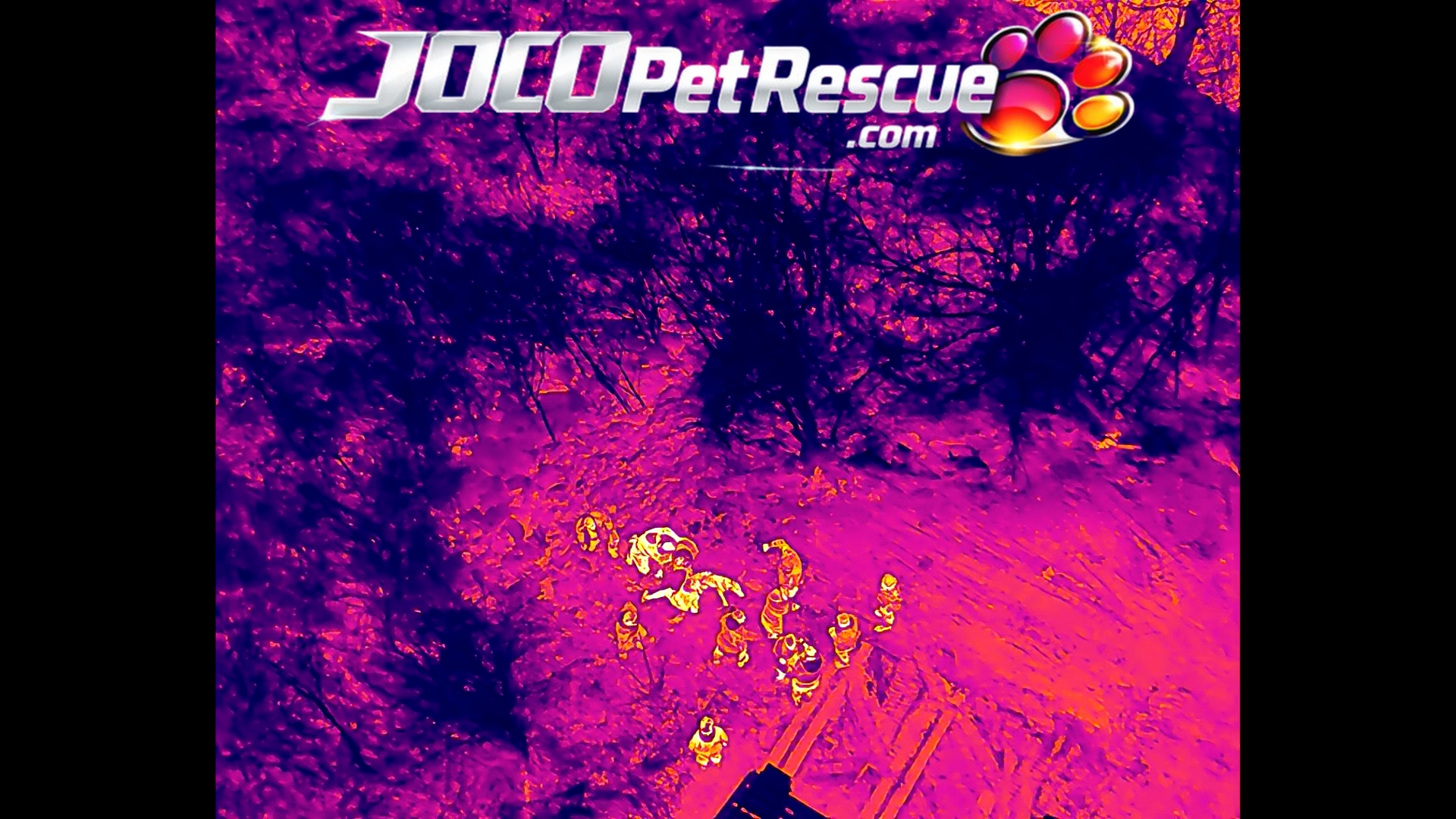 Dog safely located through guided recovery